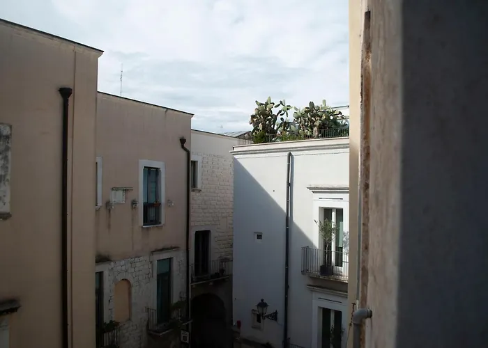 Bellissimo Open Space Stramo Appartamento